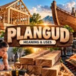 Plangud Guide: Meaning, Construction Uses, Boatbuilding, and Fitness